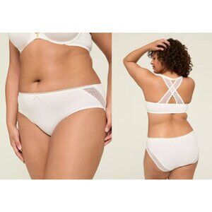 Lane Bryant Cacique Cotton Hipster Lace Back Panty 26/28